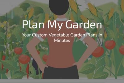 How to Plan a Square Foot Garden Using the ‘Plan My Garden’ Tool